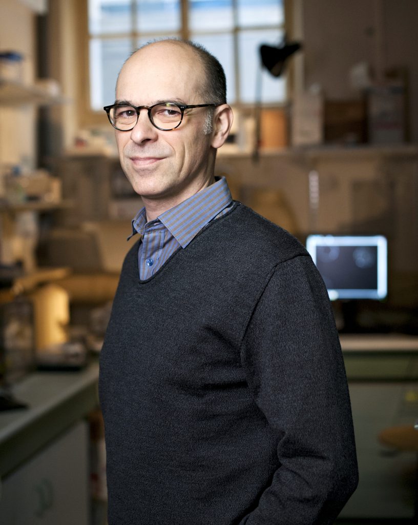 Portrait de chercheur à l'Institut Curie